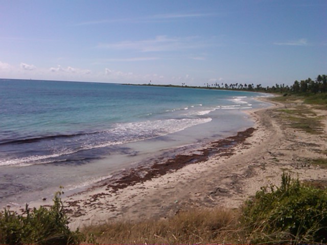 Isla Ballena