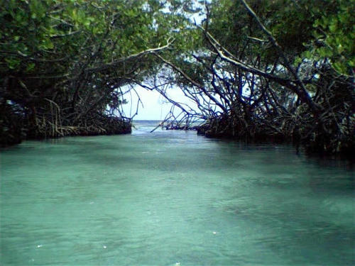La Parguera