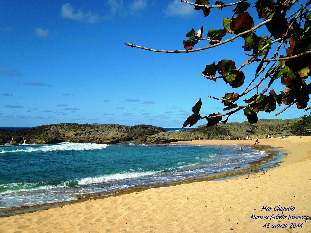 Manatí / Mar Chiquita