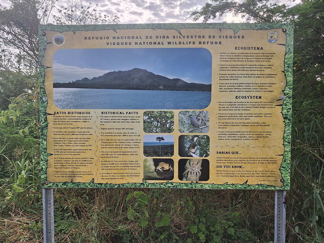 Monte Pirata