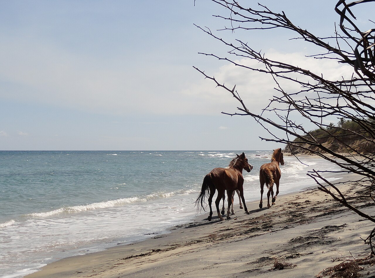 Playa Negra