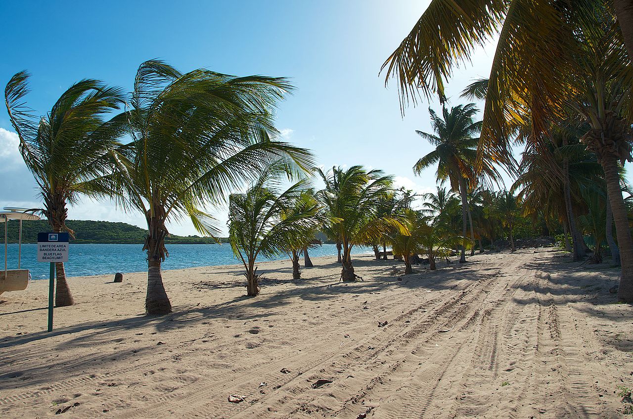Reserva Natural de la Bahía Bioluminiscente de Vieques