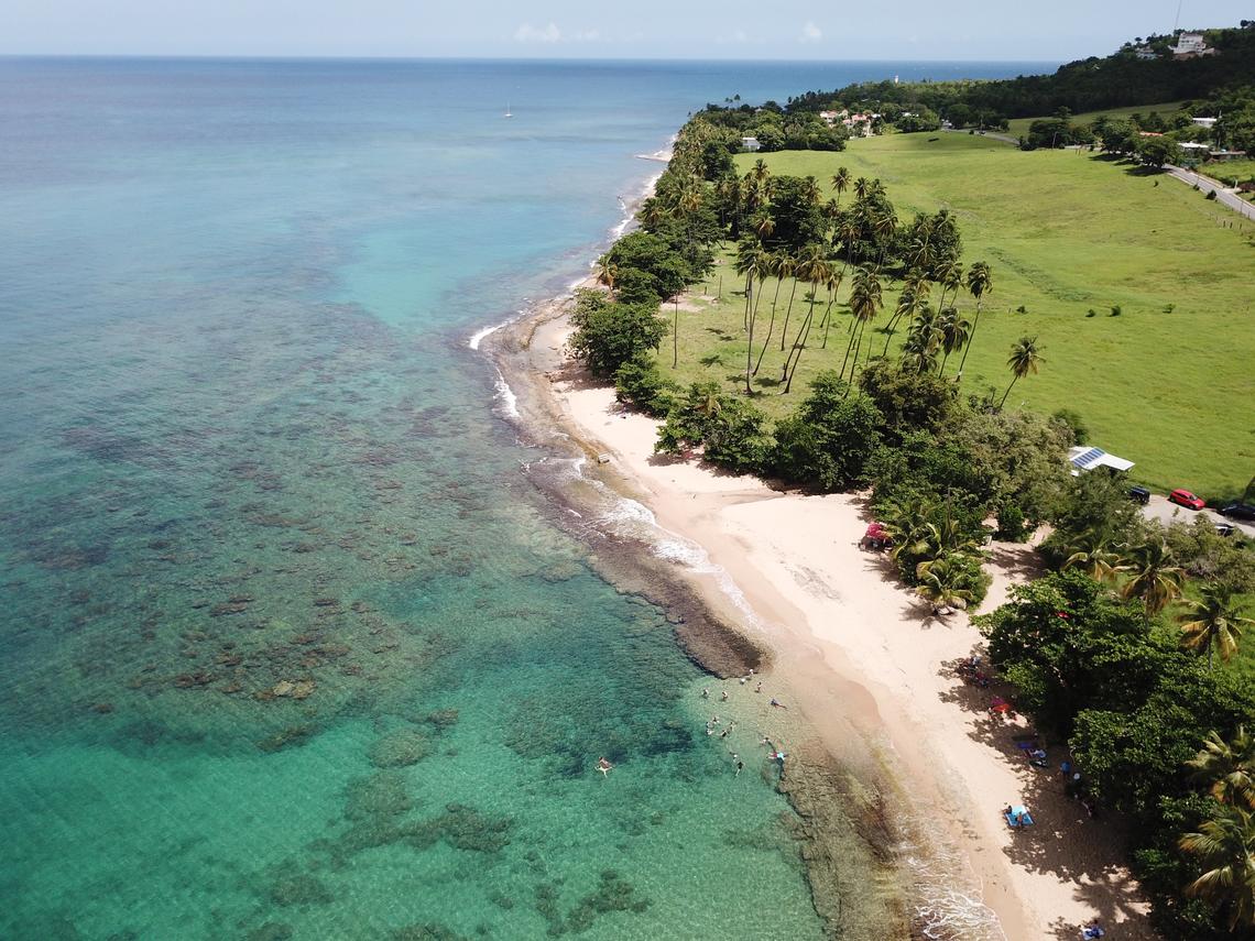 Tres Palmas Marine Reserve Trail