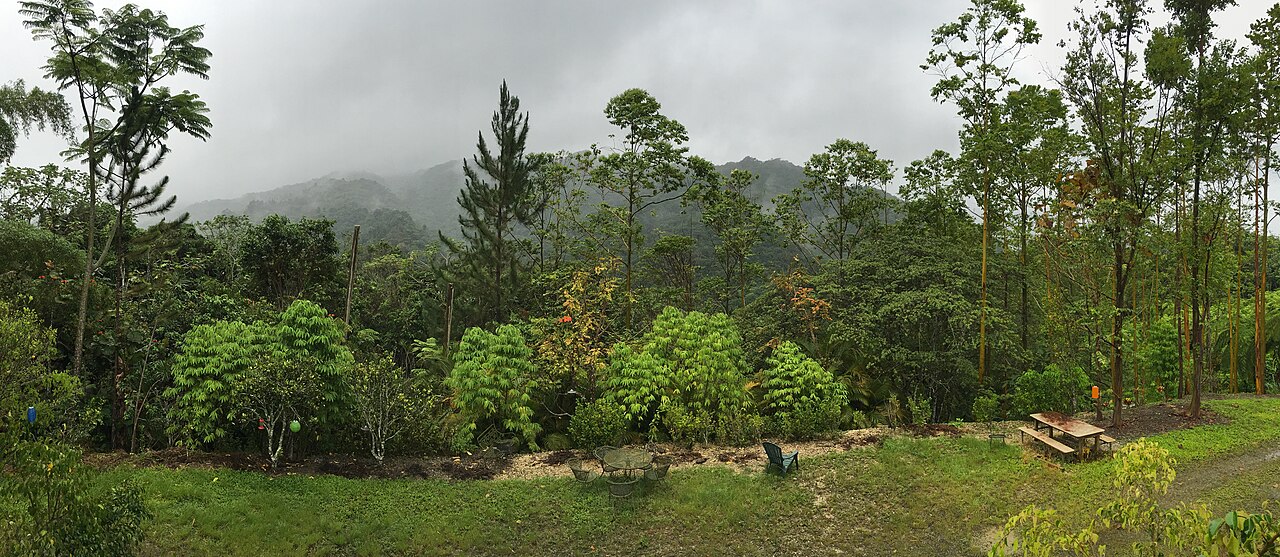 Adjuntas, Puerto Rico