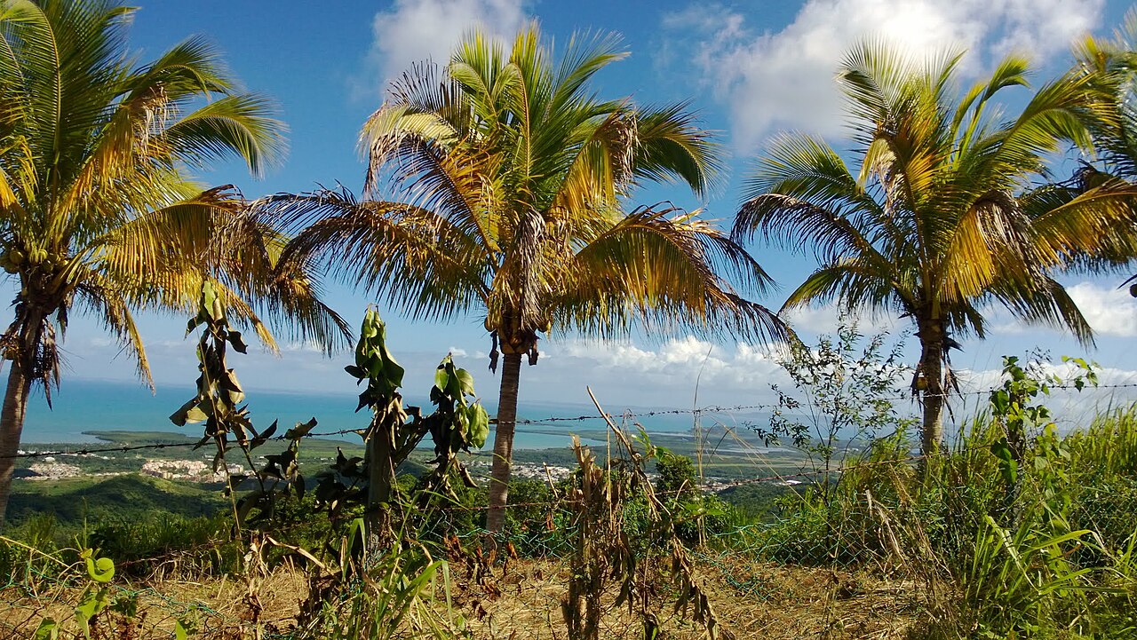 Ceiba, Puerto Rico
