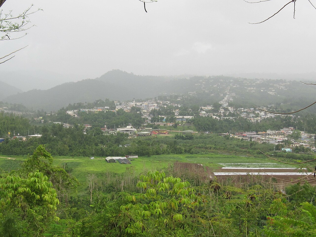 Ciales, Puerto Rico