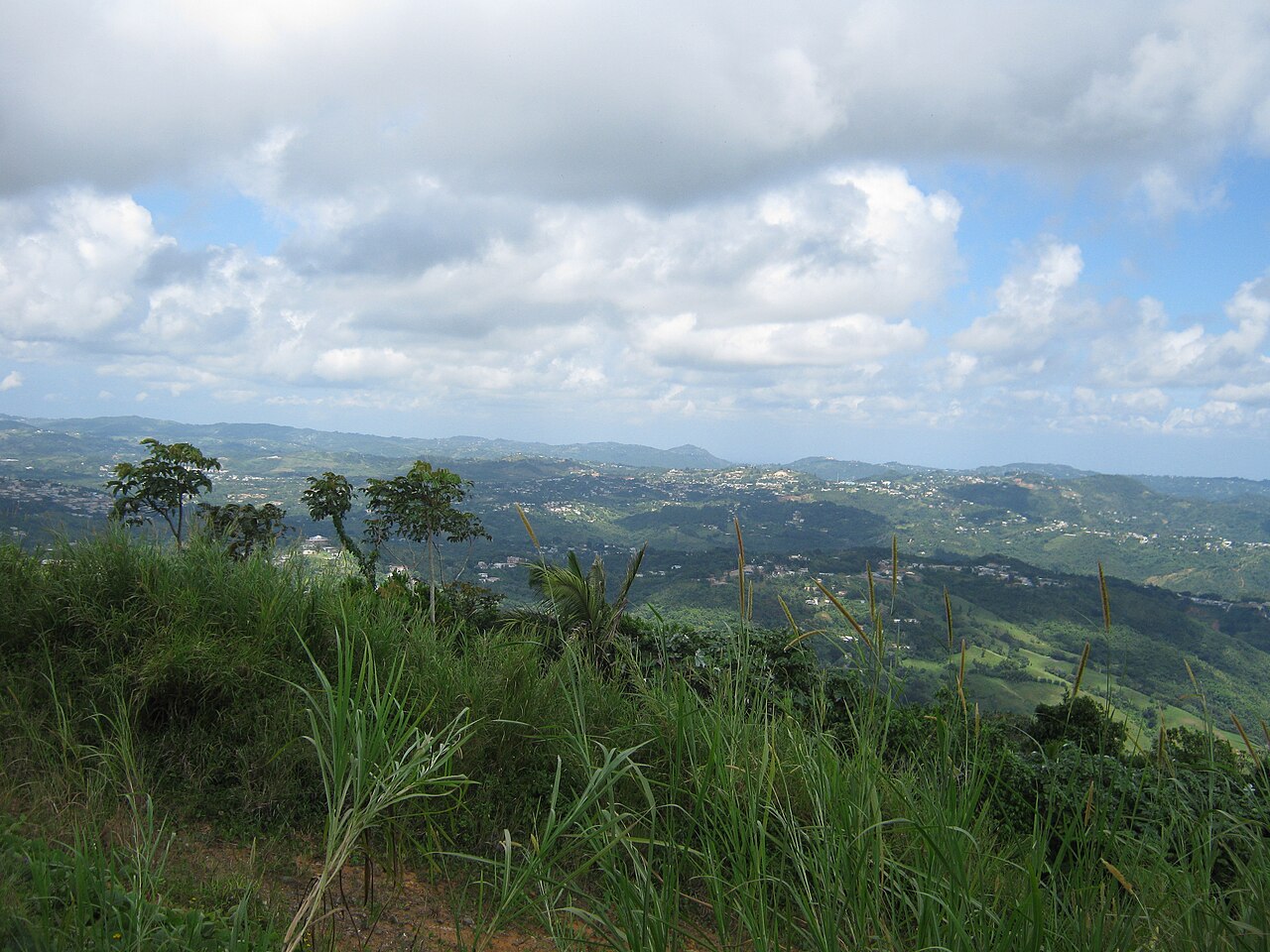Cidra, Puerto Rico