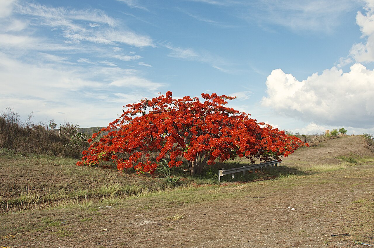 Juana Díaz, Puerto Rico