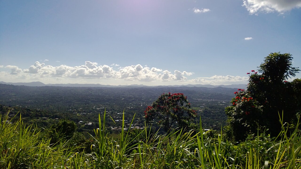 Las Piedras, Puerto Rico
