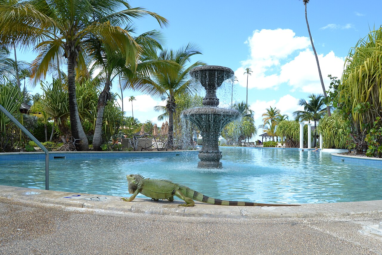 Río Grande, Puerto Rico